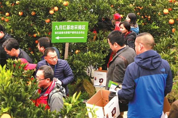 ������� ����ȫ��