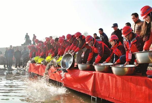 ���Ž����߷����л���